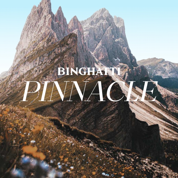 PINNACLE